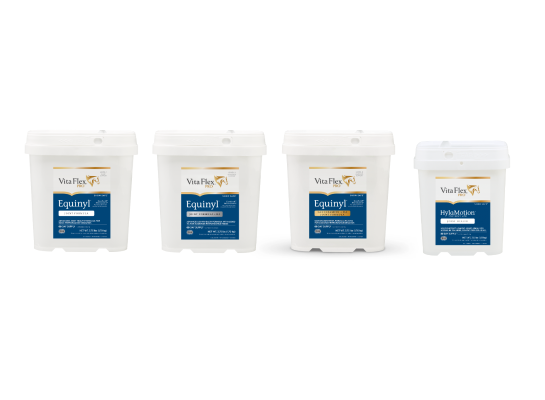 cgp-vitaflex-blog-healthy-joints-2 jpg