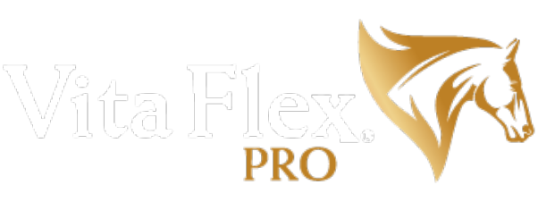 Vita flex Pro Logo
